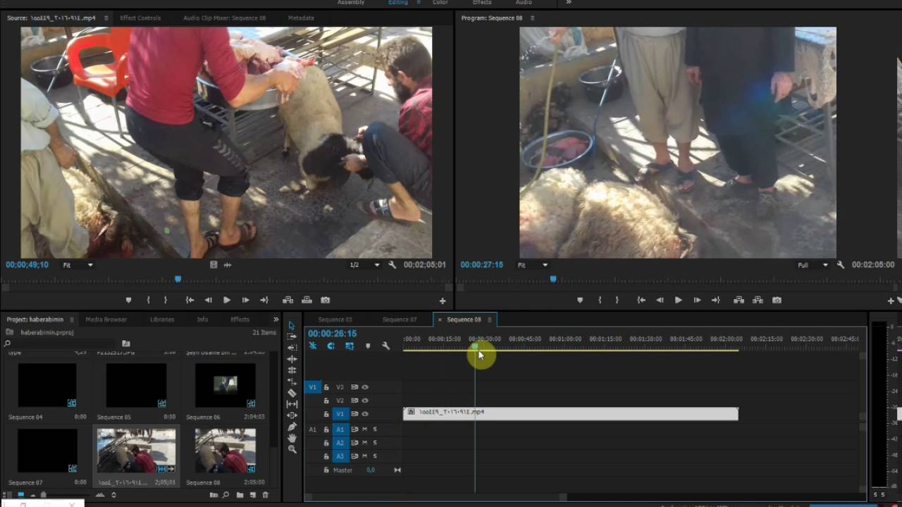 Adobe Primeire Pro ses sorunu
