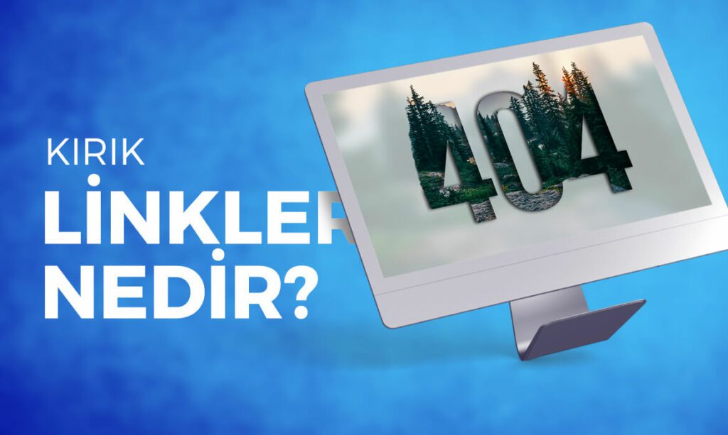 sitede kirik linkleri bulmak 01