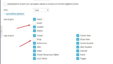 plesk veri tabani guvenlik ayarlari 1