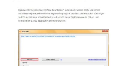 EasyCapture5 1