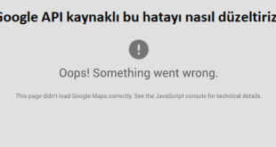 google maps oops something went wrong