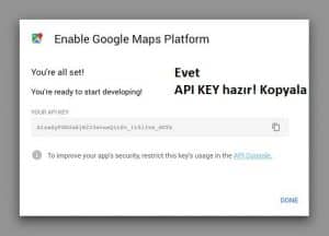 Google Haritalar API KEY oluşturduk