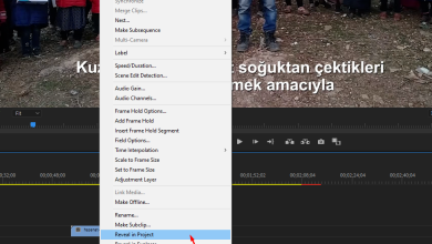 adobe premiere de timeline da video degistirmek 01
