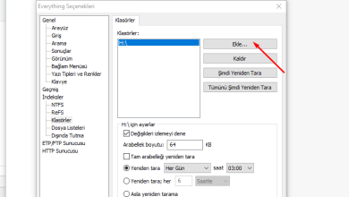 everything search google drive da nasil calistirilir 01
