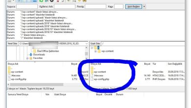 wordpress hosting tasima ftp
