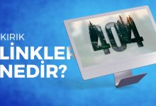 sitede kirik linkleri bulmak 01