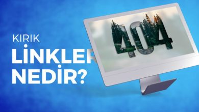 sitede kirik linkleri bulmak 01