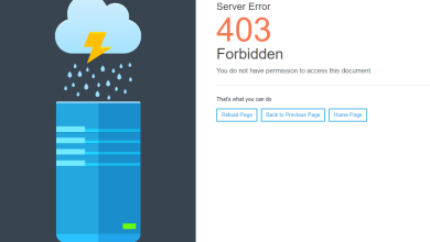 403 plesk de acilmayan dizin hatasi 01
