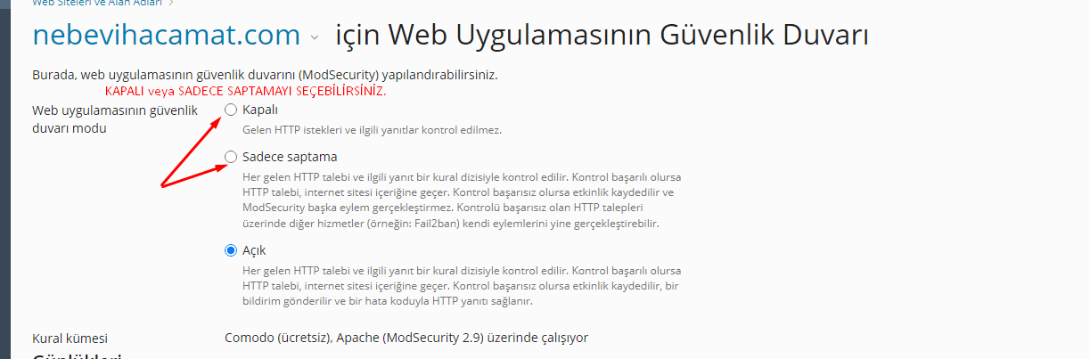 403 plesk de acilmayan dizin hatasi