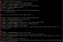 Wp Redis Kurulumu