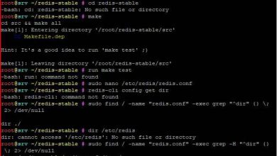 Wp Redis Kurulumu